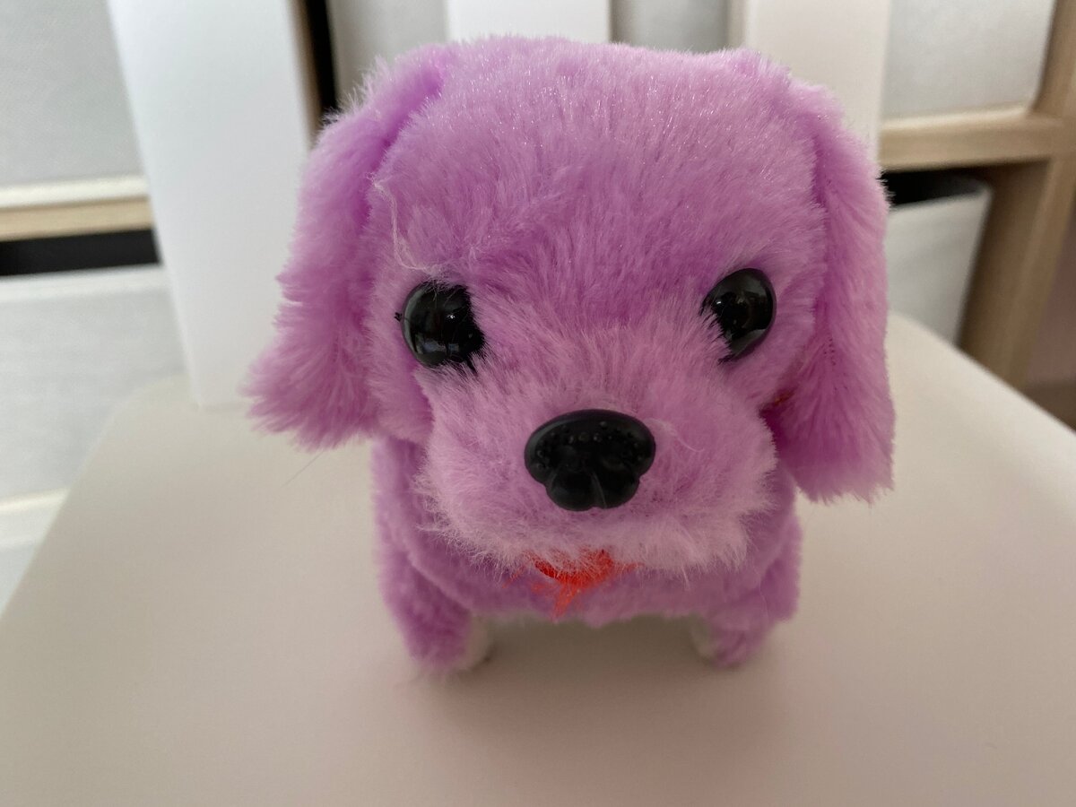 Такая некрасивая морда. Кто там говорил, что у Огнекошки страшная?)