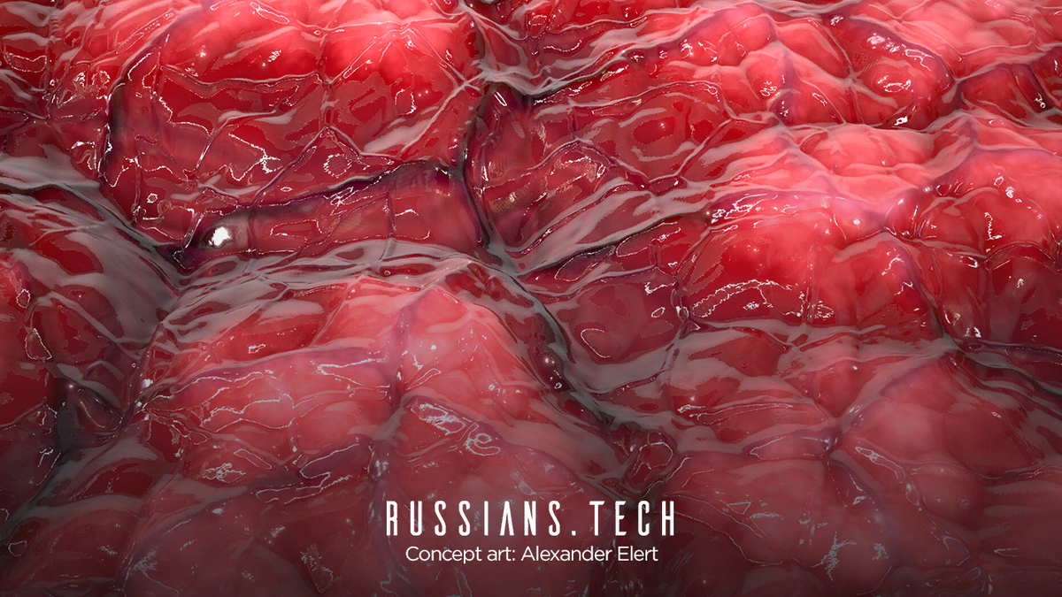 ОПУБЛИКОВАЛ RUSSIANS.TECH 10.03.2020