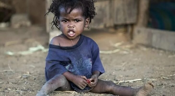 Фотоматериал: lemurov.net