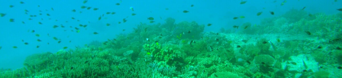 Красное море