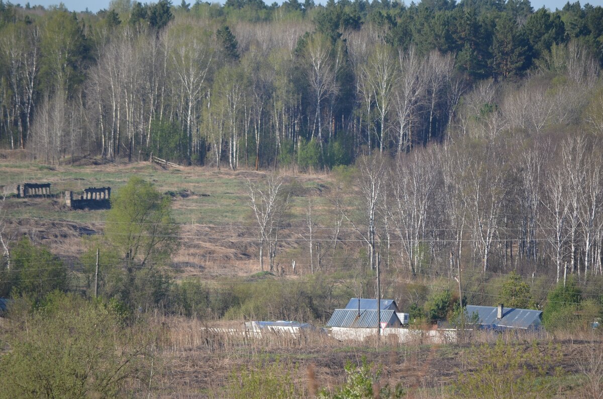 Утренние деревенские пейзажи. Фото автора