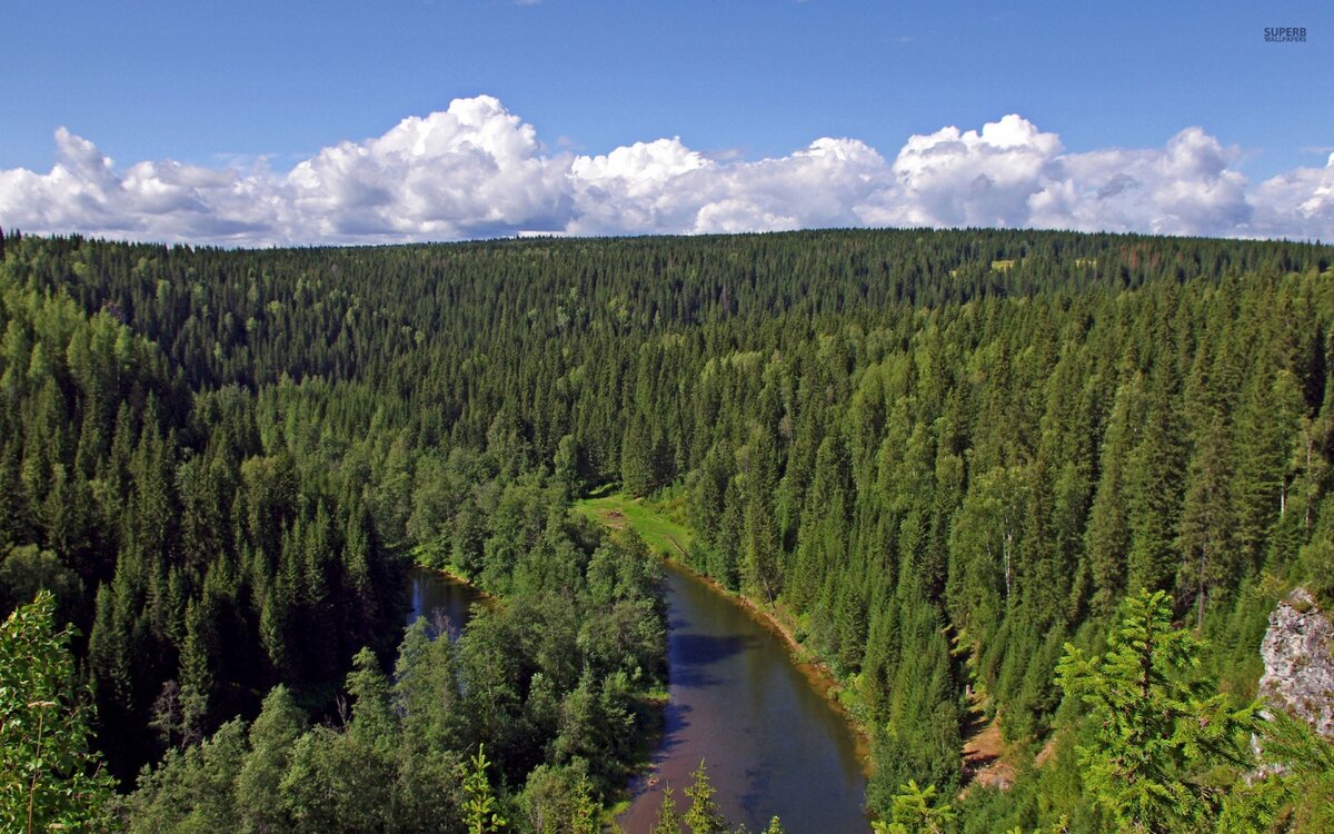 Большинство территорий - непроходимая тайга