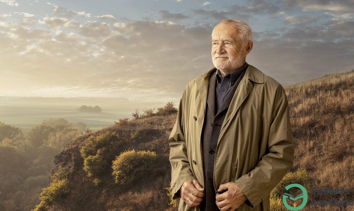 изображение из сети интернет и в свободном доступе