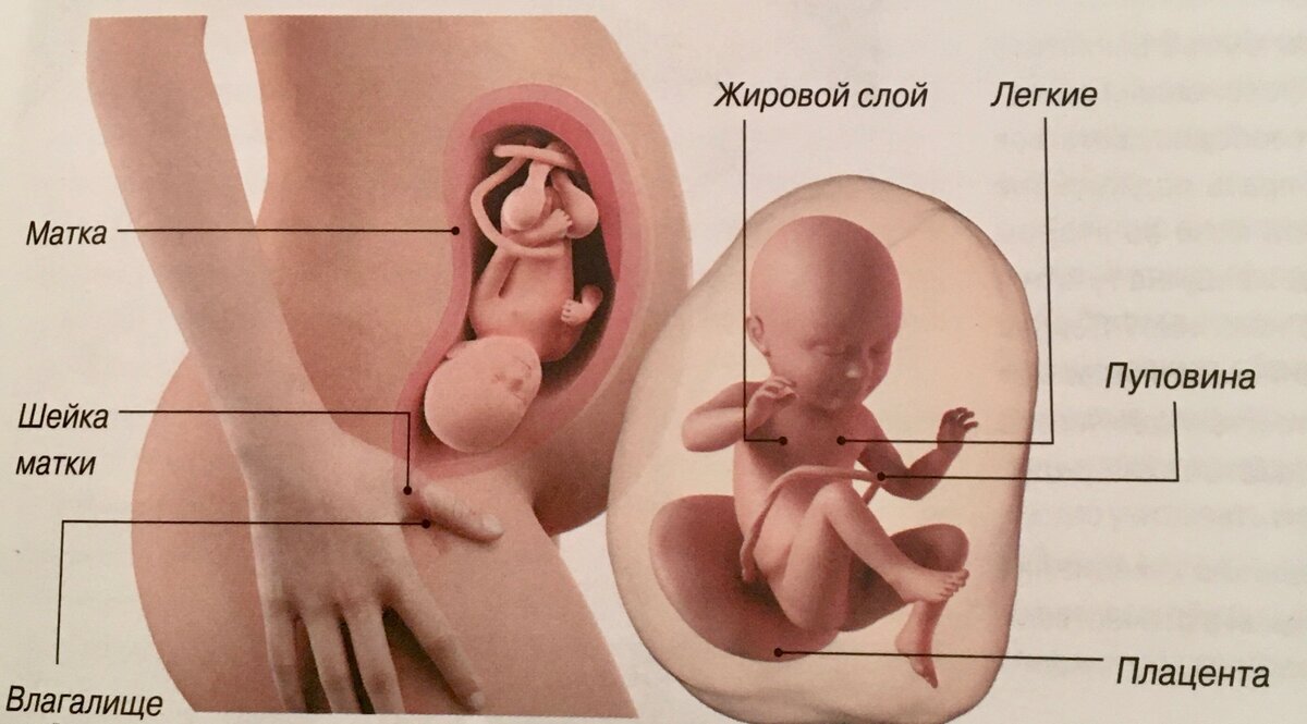 Изжога при беременности