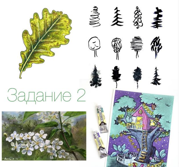 Второе задание марафона было нарисовать деревья и все что с ними связано. 