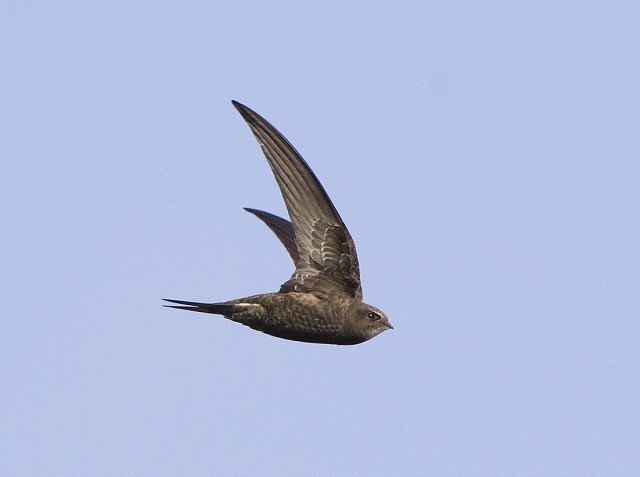 Фото Яндекс Картинки