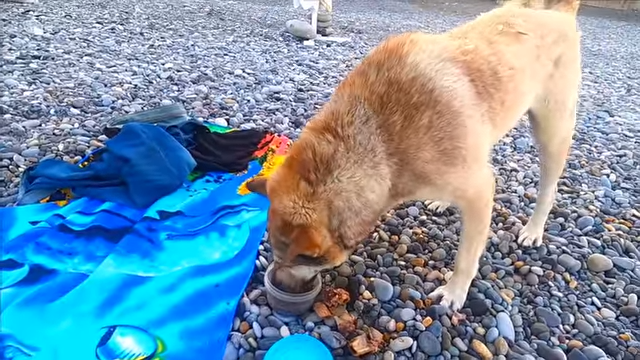 🔥Утро на море\ Семья в сборе\ Олег Сочи Лазаревское 5 Июля 2020 Сочи море\пляж