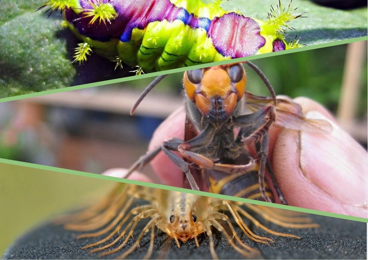 источник https://avatars.mds.yandex.net/