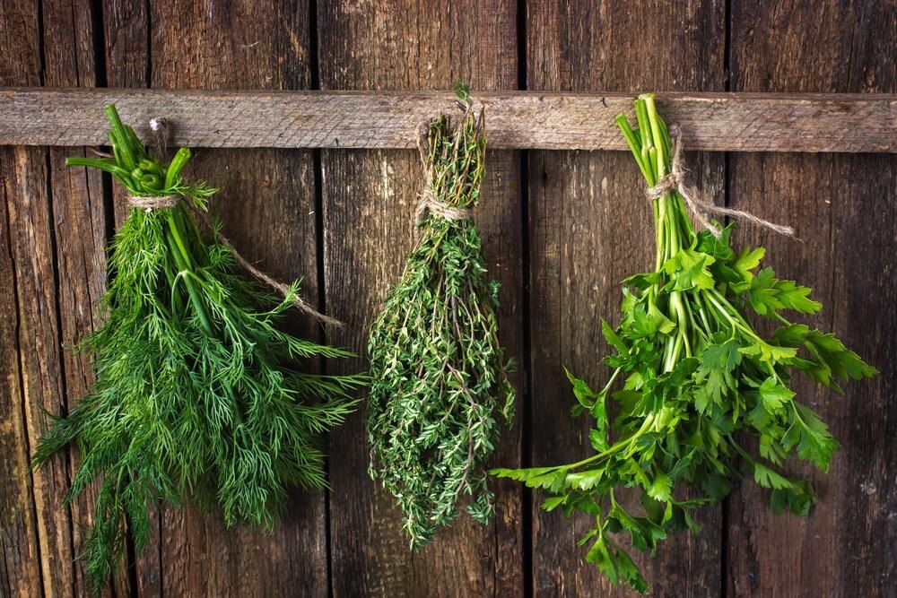 фото из поисковой системы