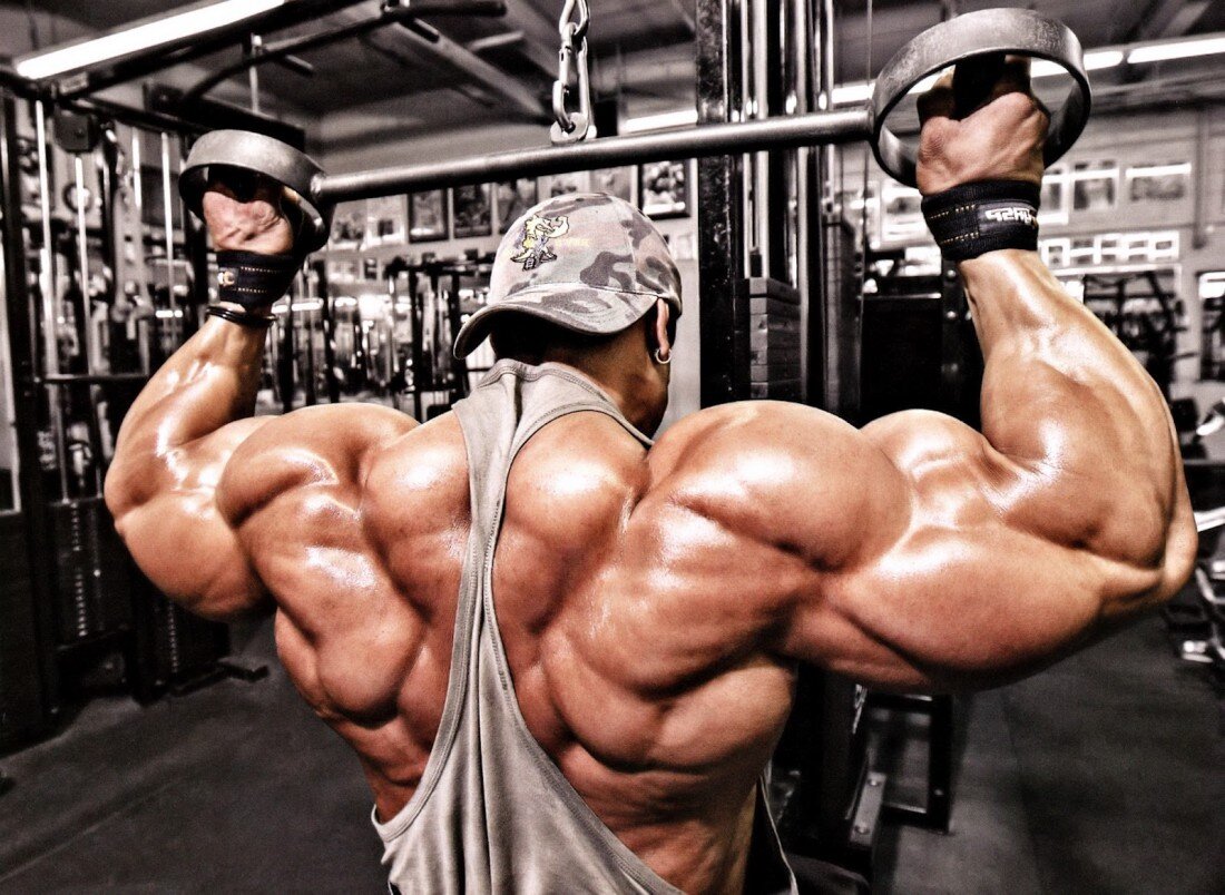 Итак, разрешите представить спину и бицепс. Давайте мы рассмотрим эффективность различных упражнений с точки зрения электромиографии (ЭМГ).    