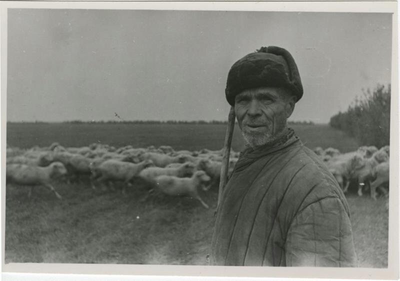 Пастух. Из серии «Рабочие и колхозники»
Виктор Темин, 1960-е, МАММ/МДФ. 