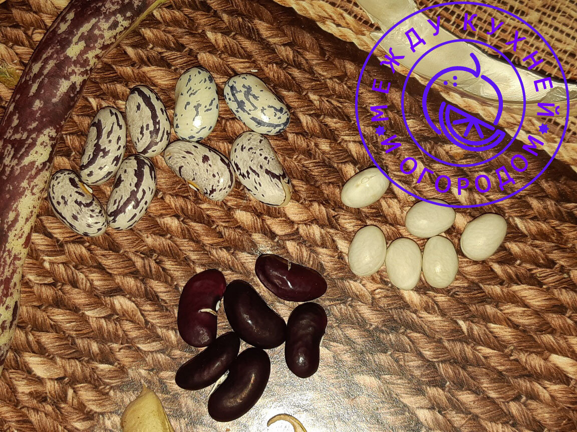 Не забудьте поставить лайк и подписаться на канал!