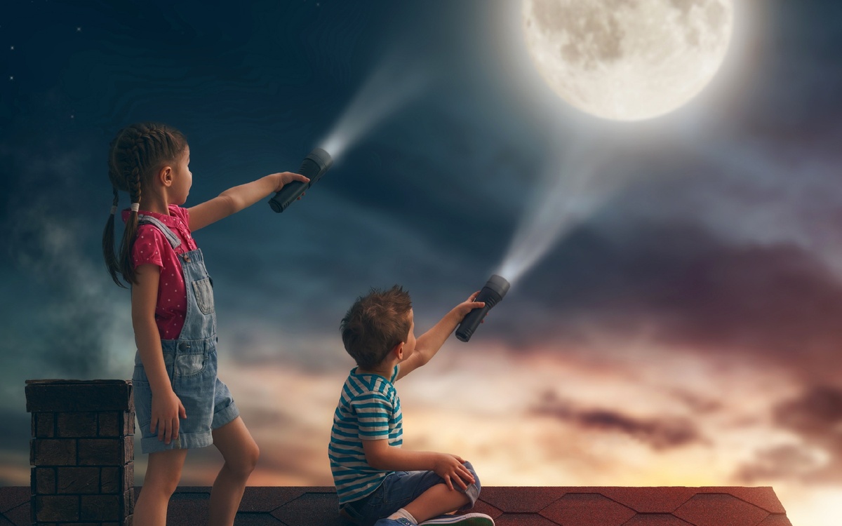 Какой же вывод из всего этого следует?!  Человек не может не спать, он заснет, даже если этого не собирался делать. 