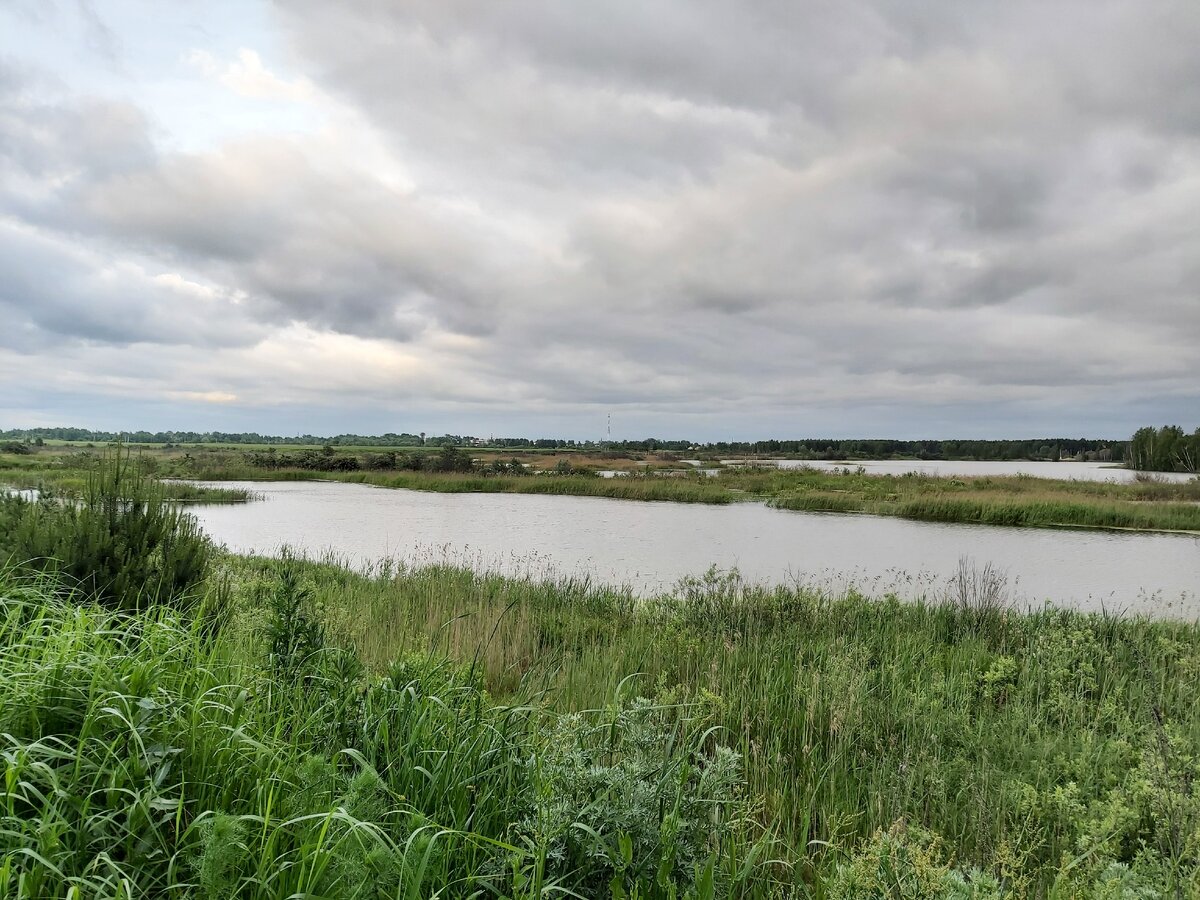 Подмосковная природа, фото автора