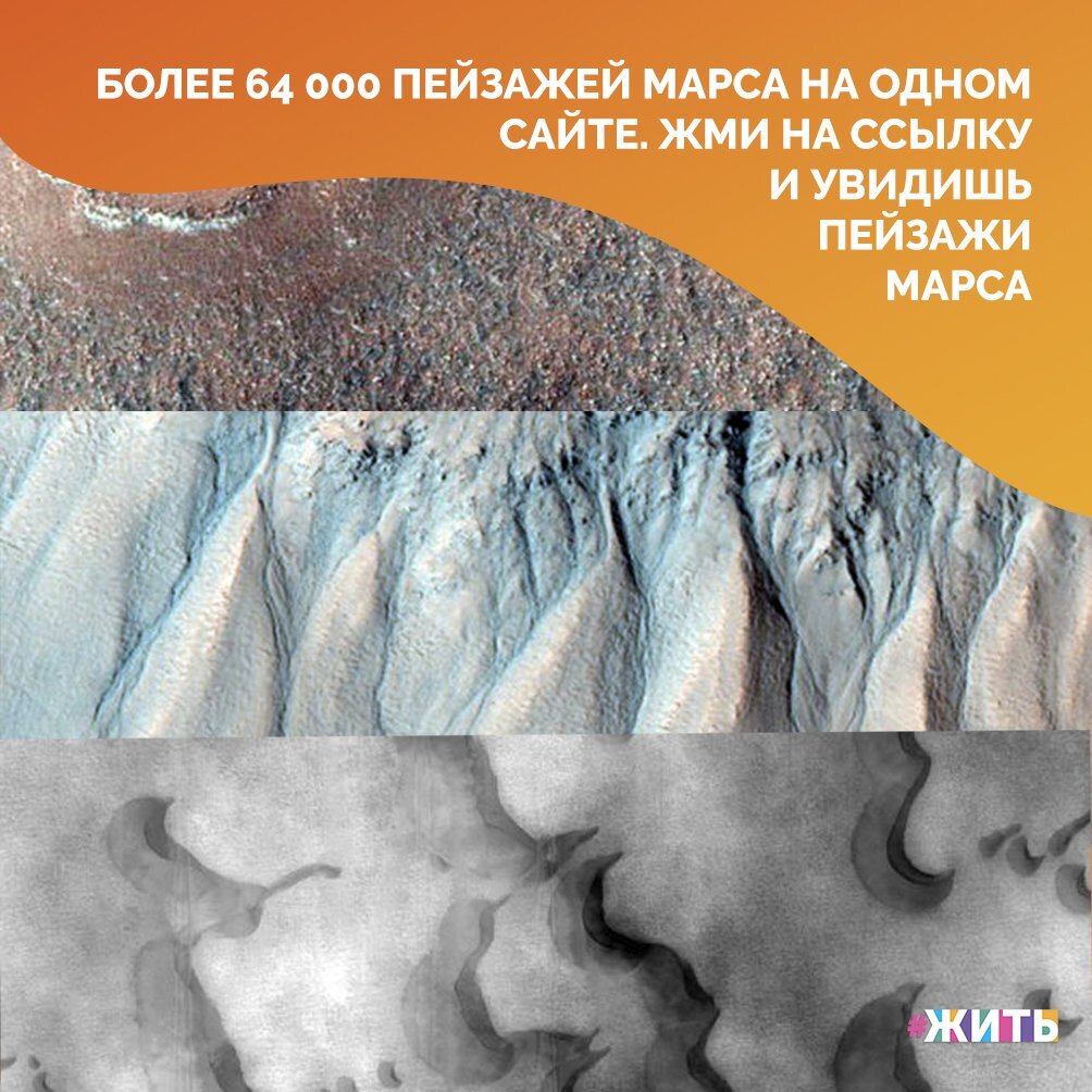 На межпланетной станции NASA Mars Reconnaissance Orbiter (MRO) установлена специальная камера, которая фотографирует Марс. Все эти изображения есть в каталоге HiRISE (так называется камера), а сам каталог может бесплатно смотреть любой желающий🌌 
Сейчас в каталоге 64 018 изображений — первое датировано 6 октября 2006 года, а последнее обновление было 5 мая 2020-го. Там есть снимки дюн, горных хребтов, впадин и других объектов на Марсе. Фотографии сопровождаются описанием того, что на них изображено🤩

Если Вы хотите ознакомиться со снимками нашей соседней планеты, то ловите ссылку на сайт:

https://www.uahirise.org/ru/catalog/

#жить #проектжить #Марс
