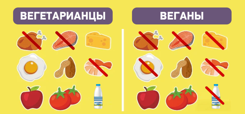веганы и вегетарианцы разница. отличие веганов от вегетарианцев. разница веганов и вегетарианцев. в чем разница между веганом и вегетарианцем. отличия вегана и вегетарианца.