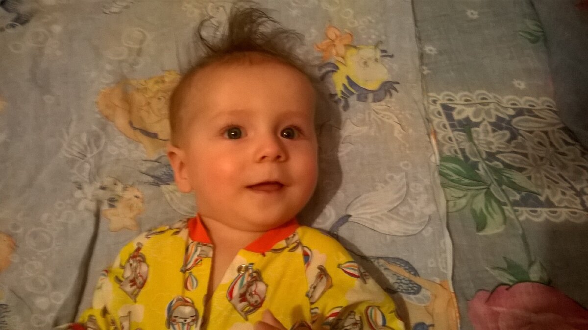 Фото автора.