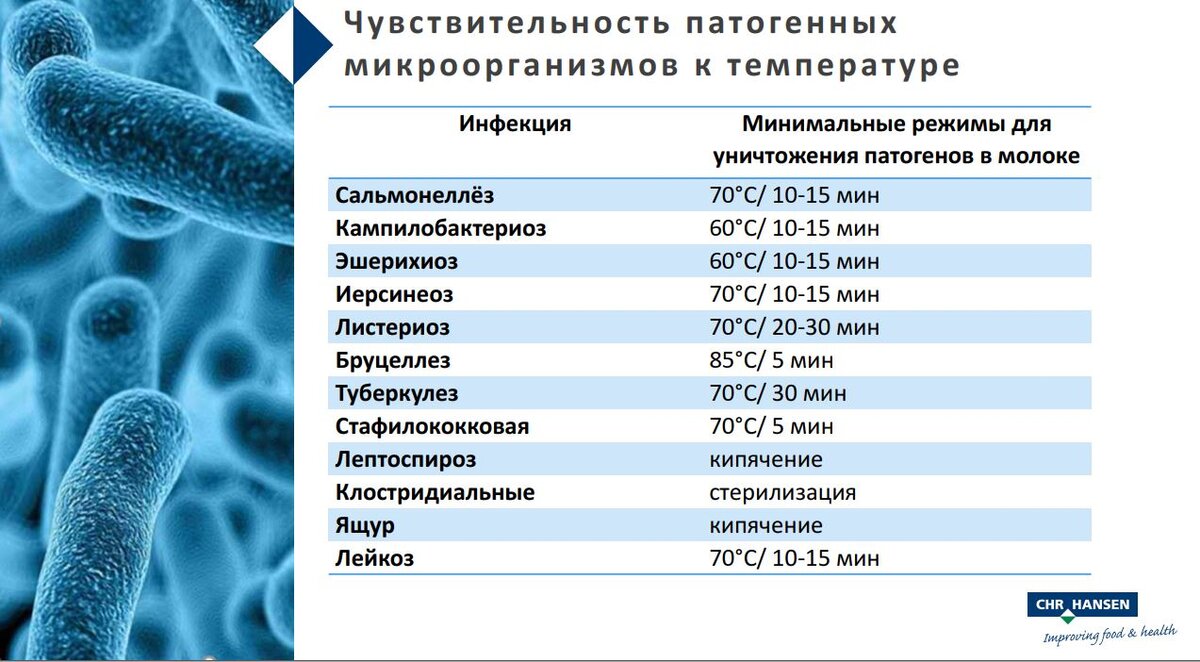 Бактерии в молоке