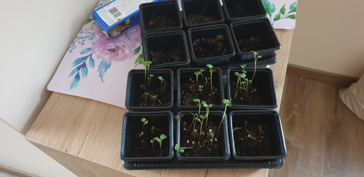 Фото прислано читателем