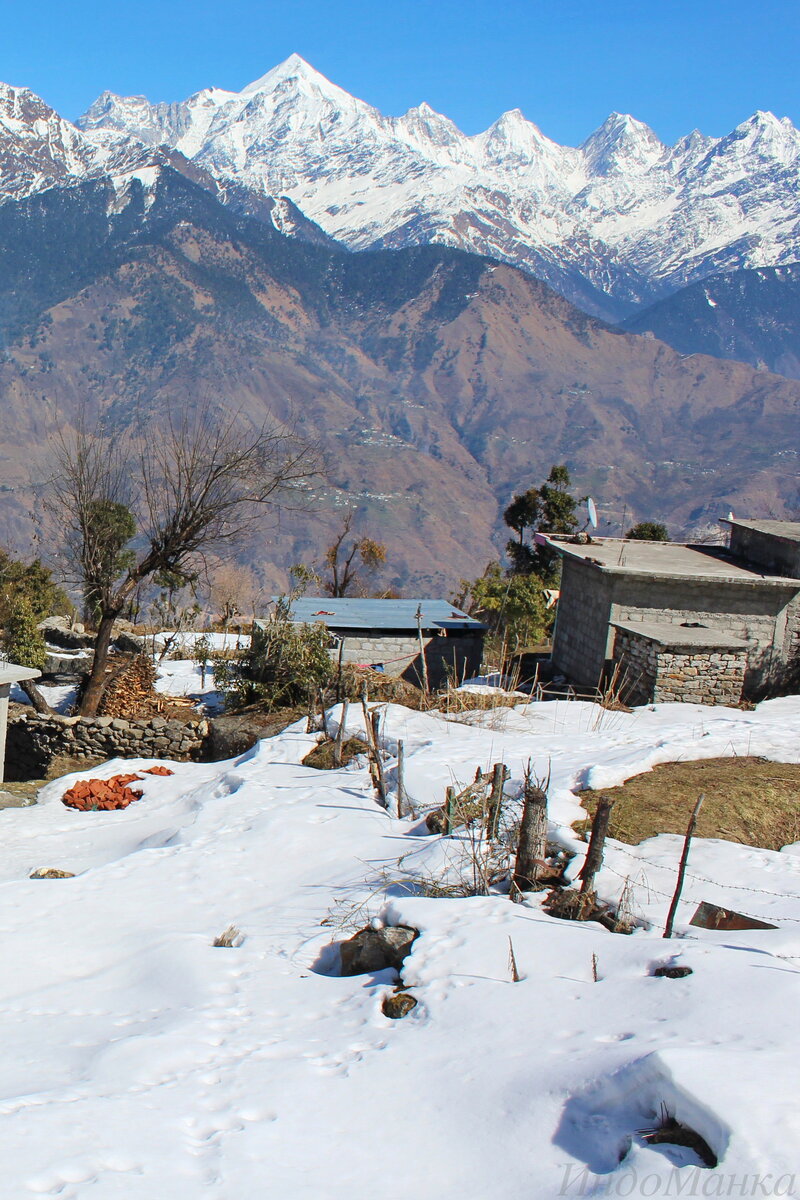 Мунсьяри. Пики Панчачули. Вид из окна комнаты отеля. Фото автора.