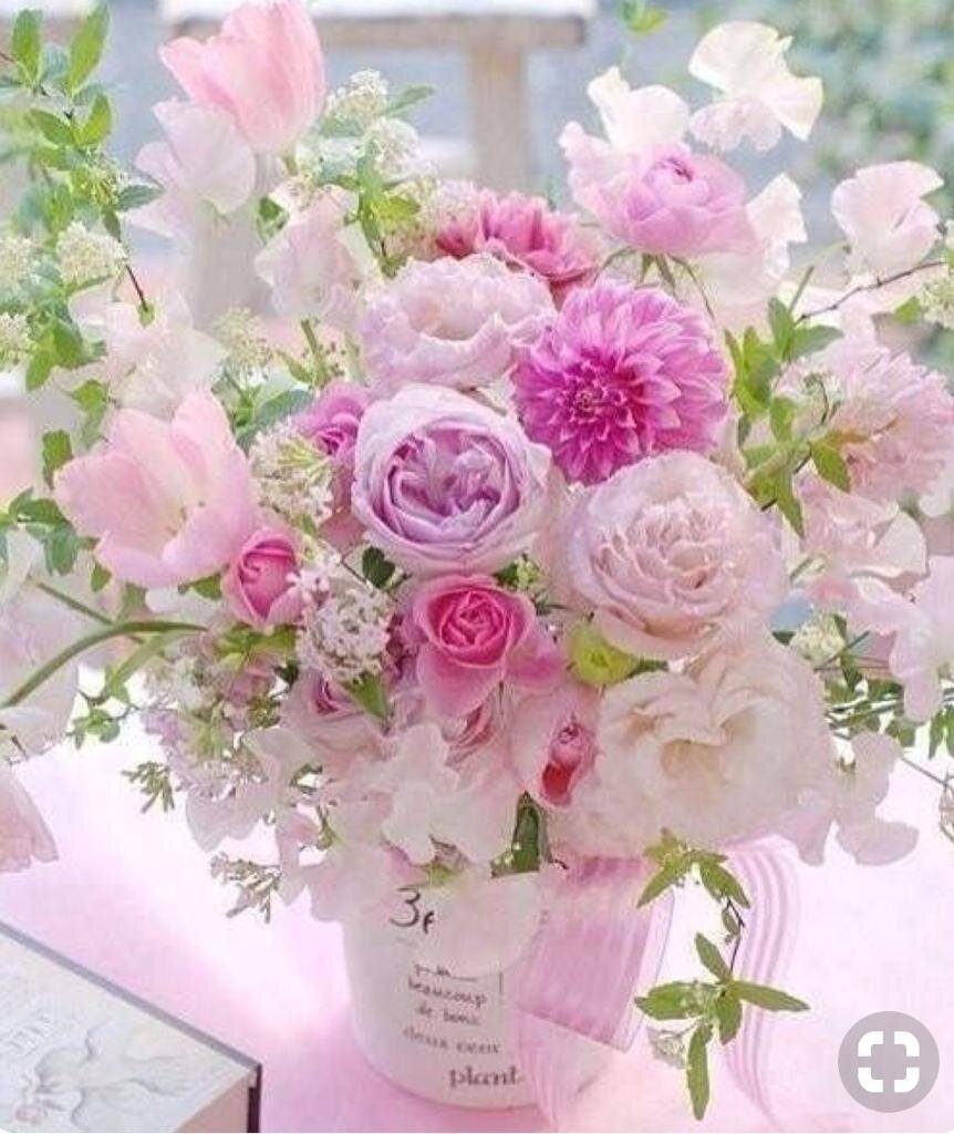 Жизнь может стать яркой и красочной только, если она станет Вашей!