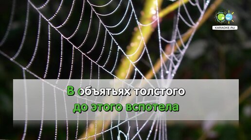 Петь караоке онлайн: бесплатные песни с текстами в 2024 году на ВКараоке