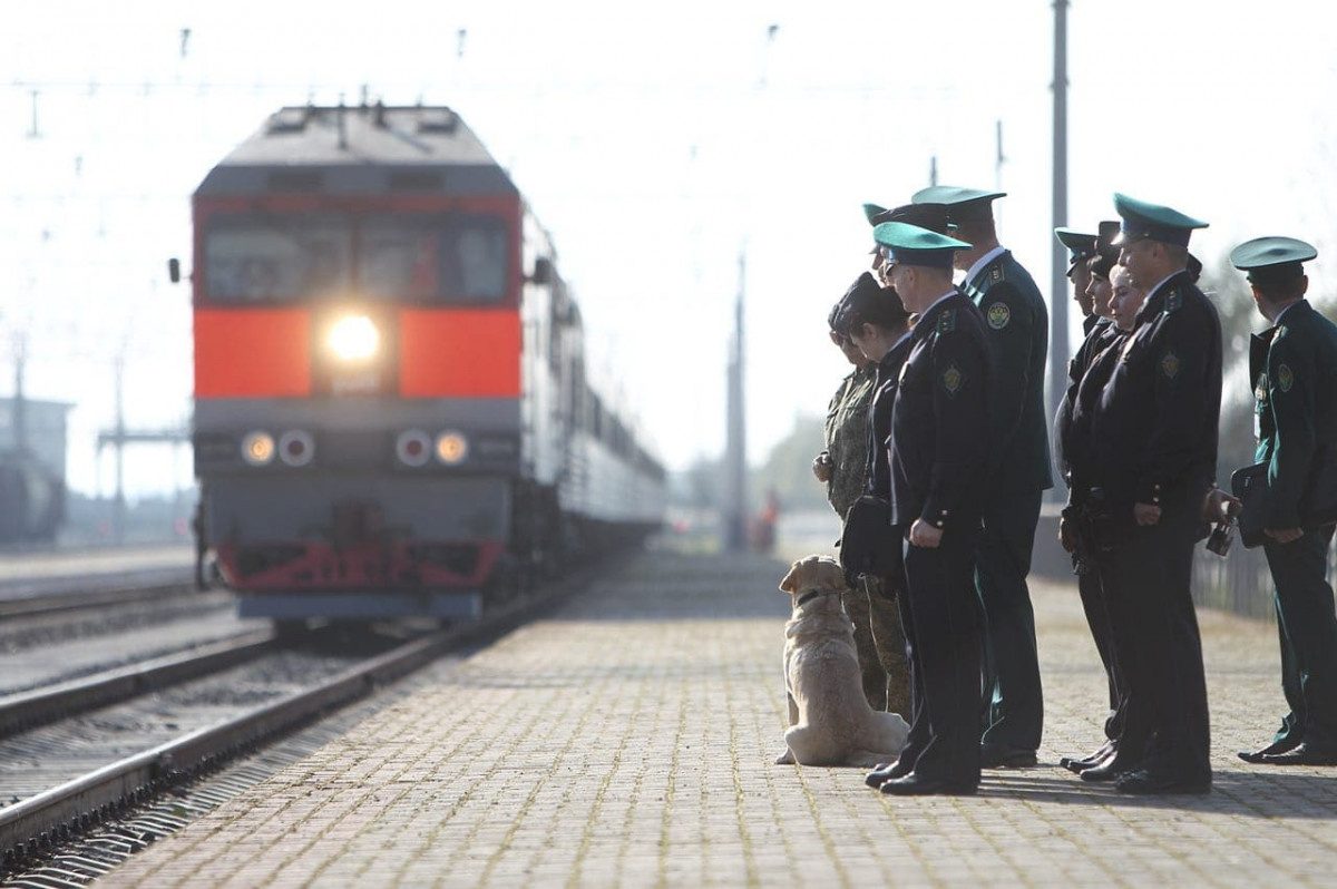 Фото: Александр Подгорчук 