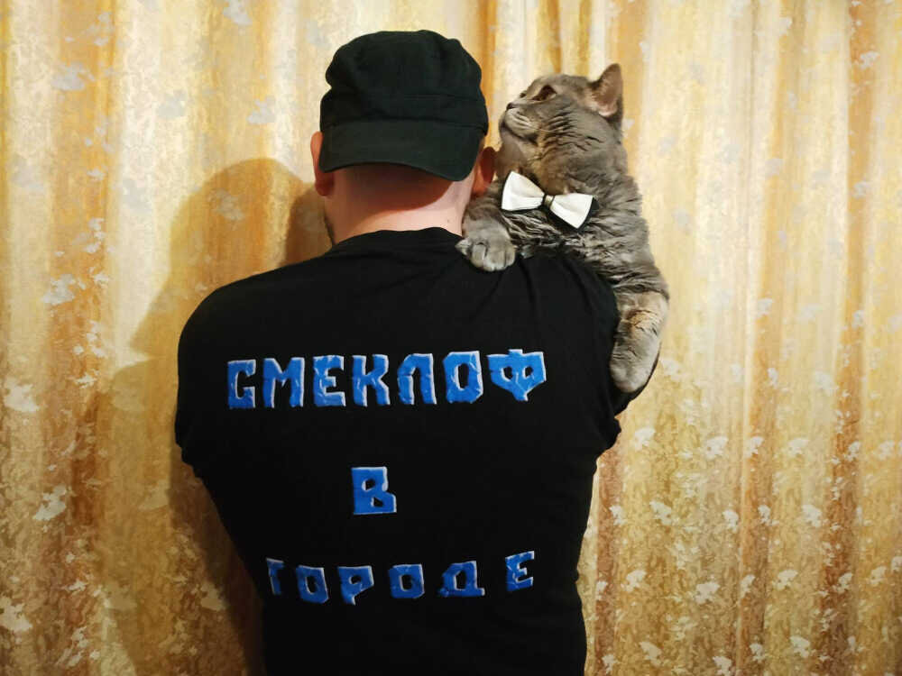 Мой любимый кот