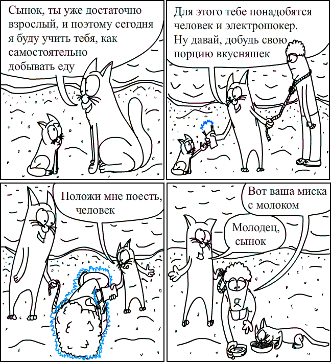 Коты и электрошокер