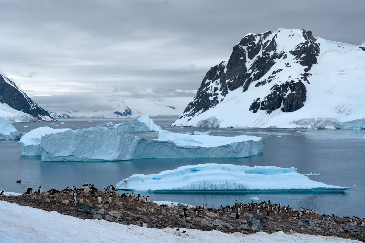 Antarctic Explorer