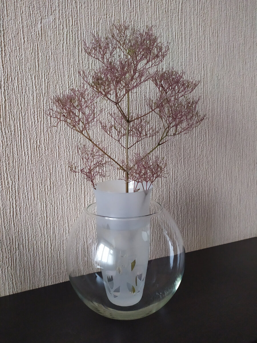 Когда ветка лучше розы