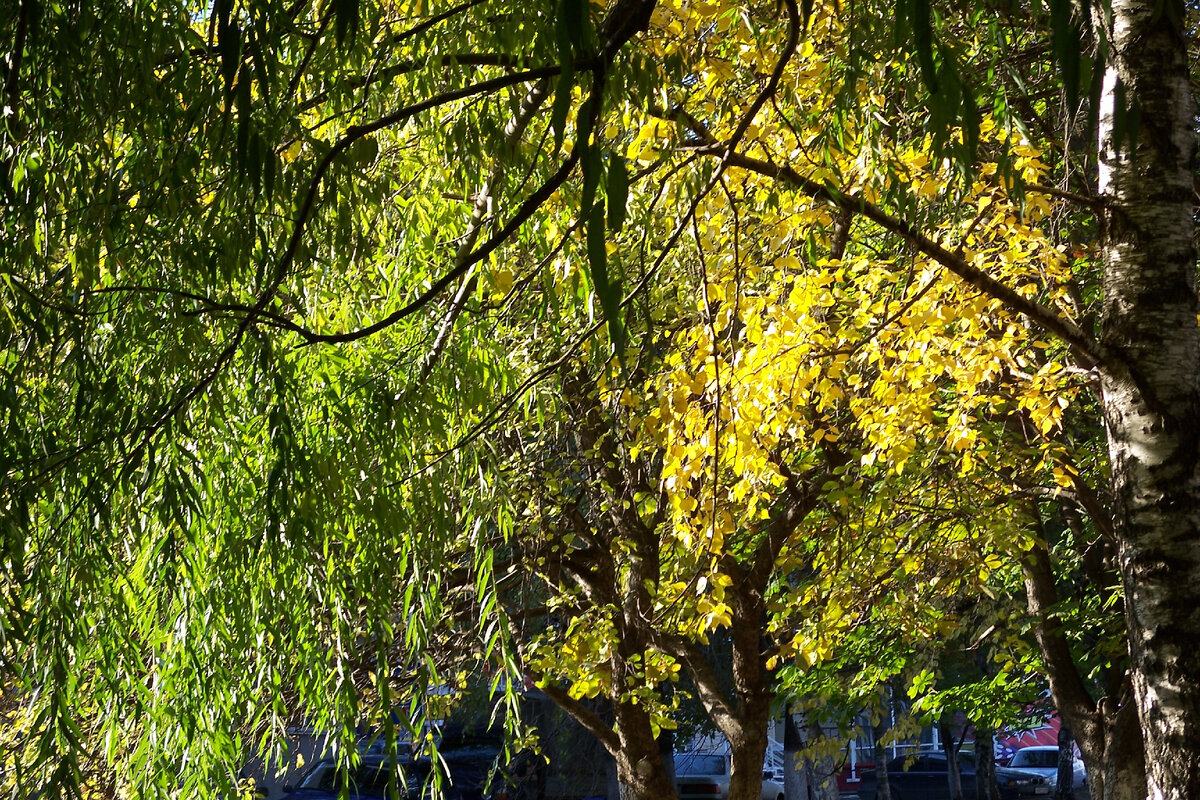 фото автора канала