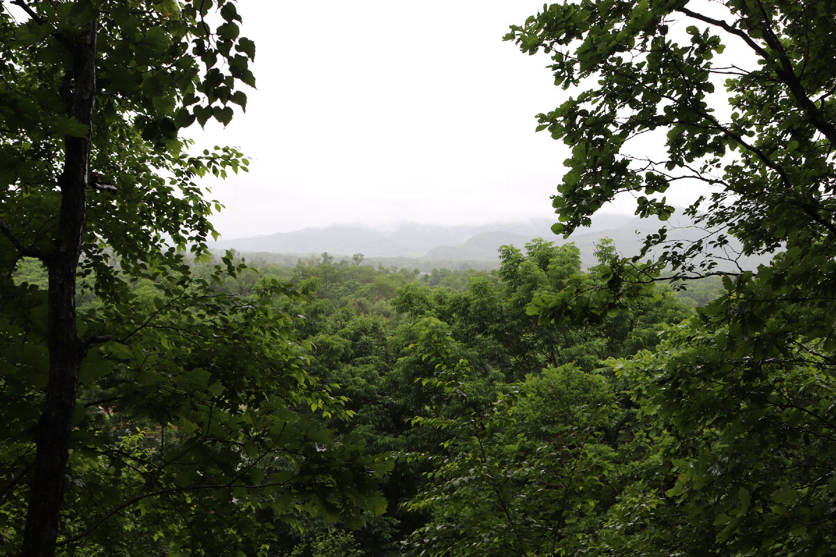 фото автора Елены М.