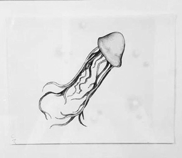 Фото в свободном доступе из сети Интернет.