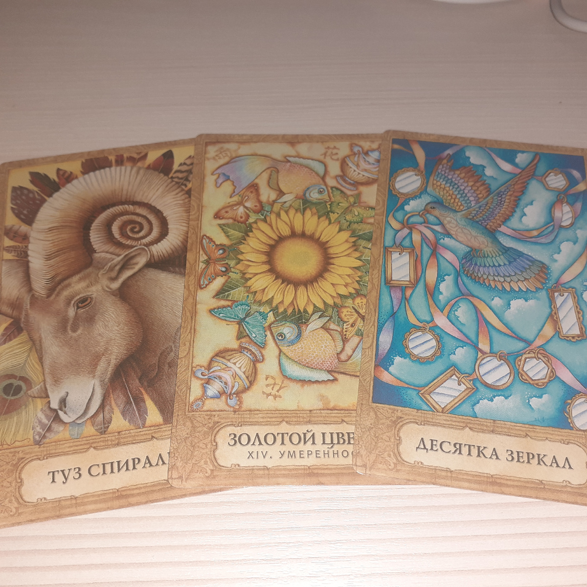 Фото автора