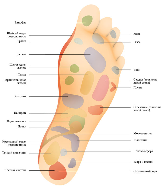 Точки на подошве стопы отвечающие за органы. Схема акупунктурных точек на стопе. Проекции органов на стопах ног. Точки стопы отвечающие за органы на стопе.