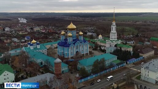 Косули попали на видео на окраине Задонска