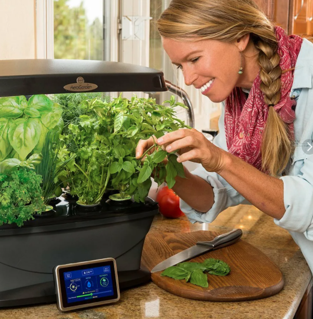 Выращивание растений дома