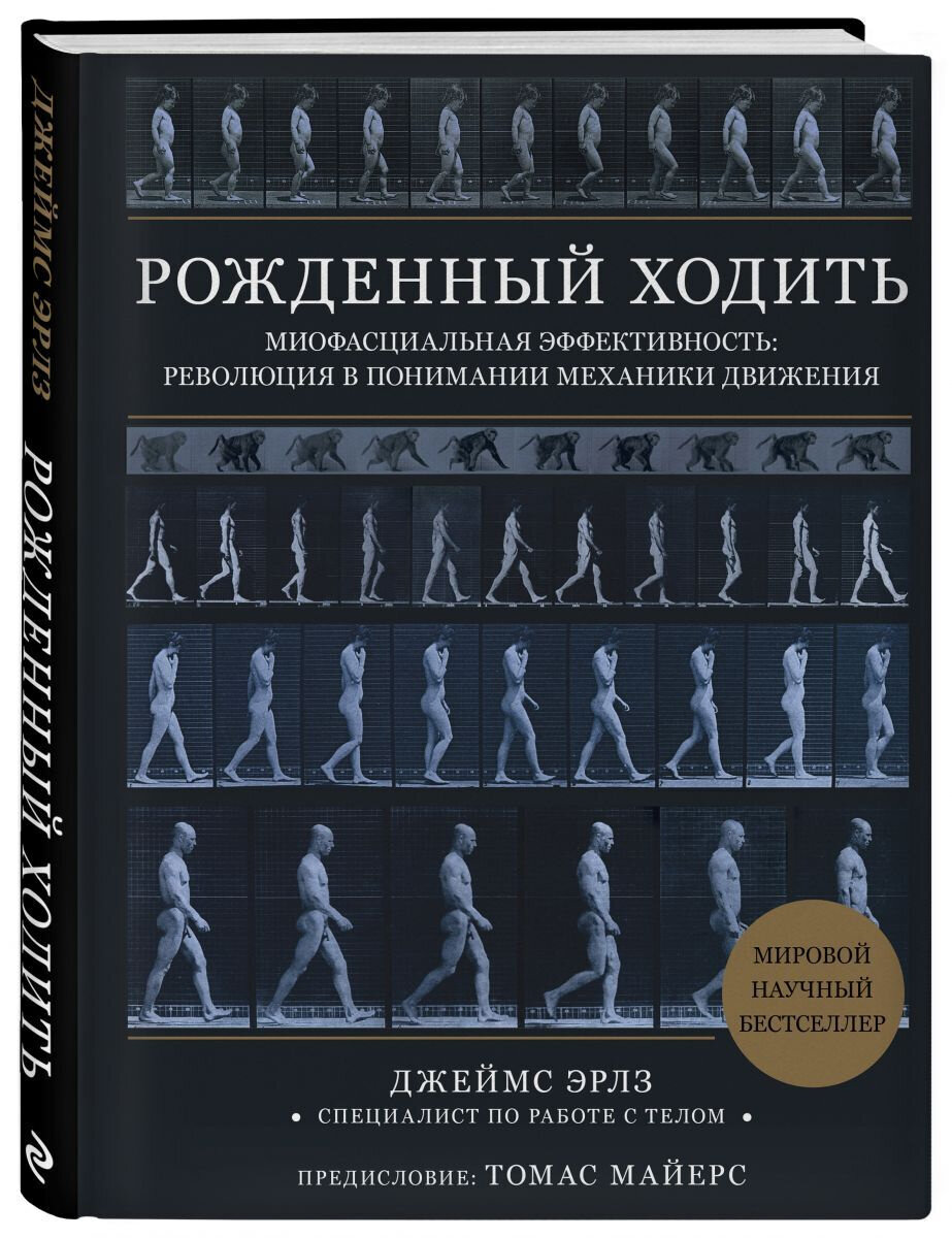 Книга Эрлза — не только теоретическая монография, в ней содержится много практических советов по диагностике и исправлению паттерна ходьбы