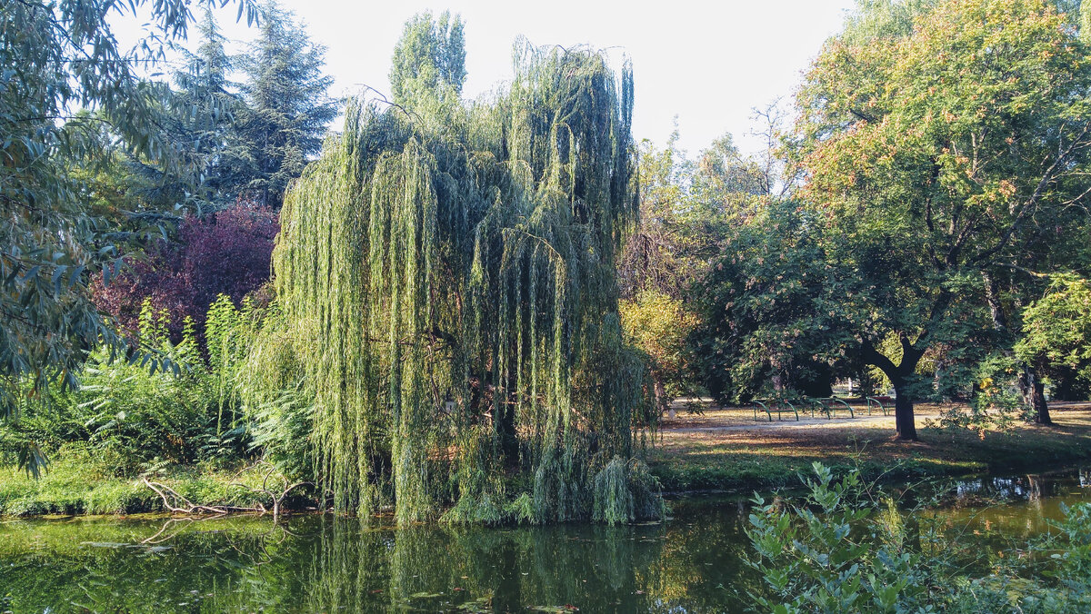 Скопье, Македония