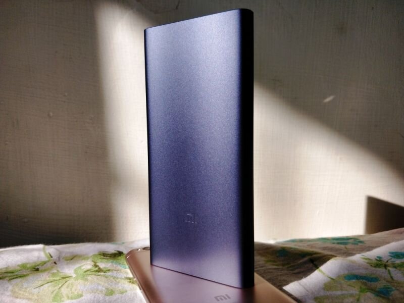 Чем меньше ёмкость пауэрбанка, тем он легче и компактнее. Фото: wobirdsbreakingfree.com