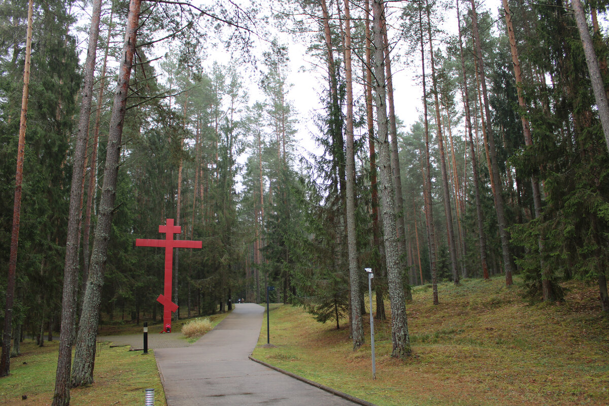 Катынский лес