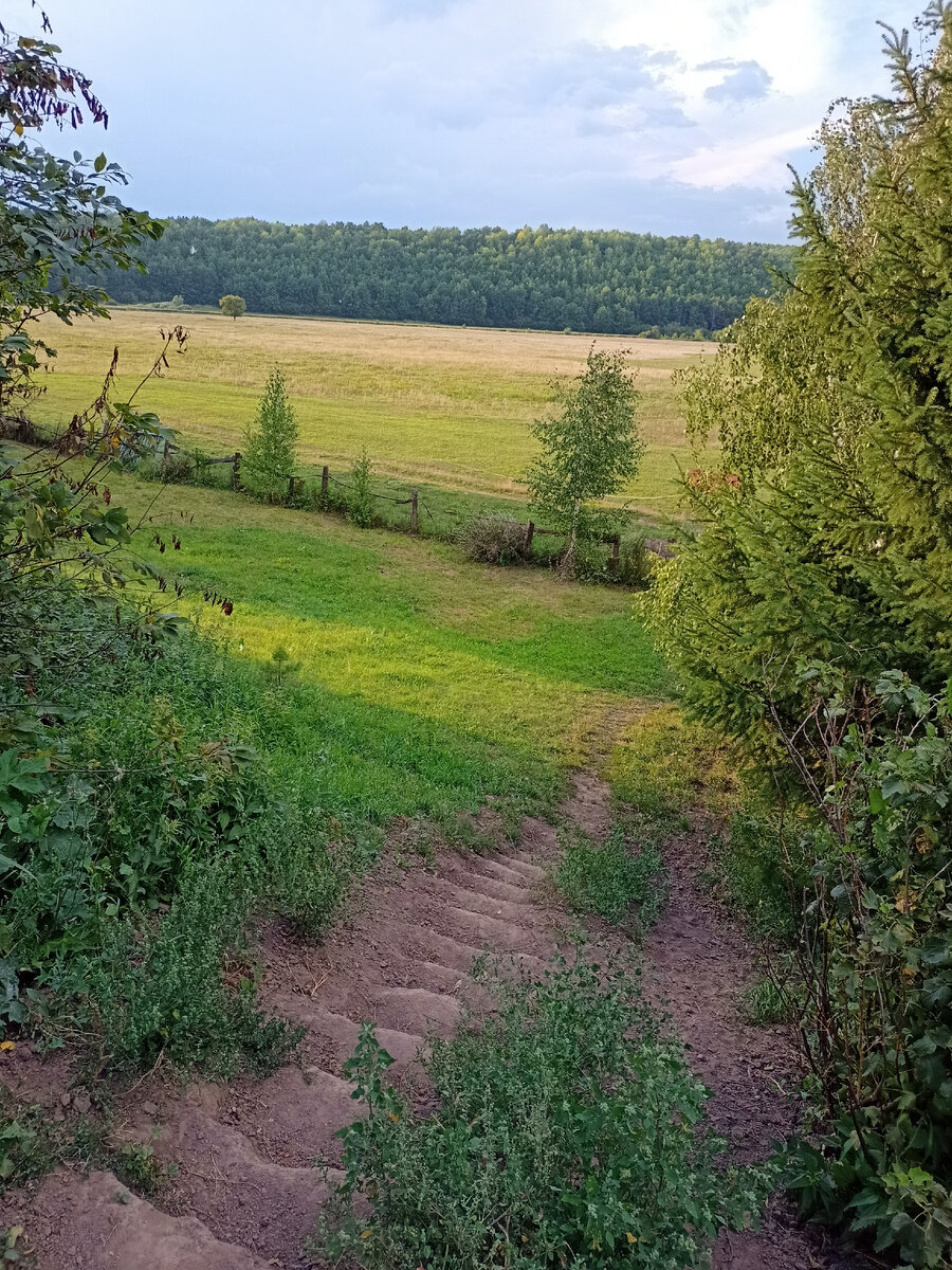 А это спуск прямо с огорода в шикарный луг