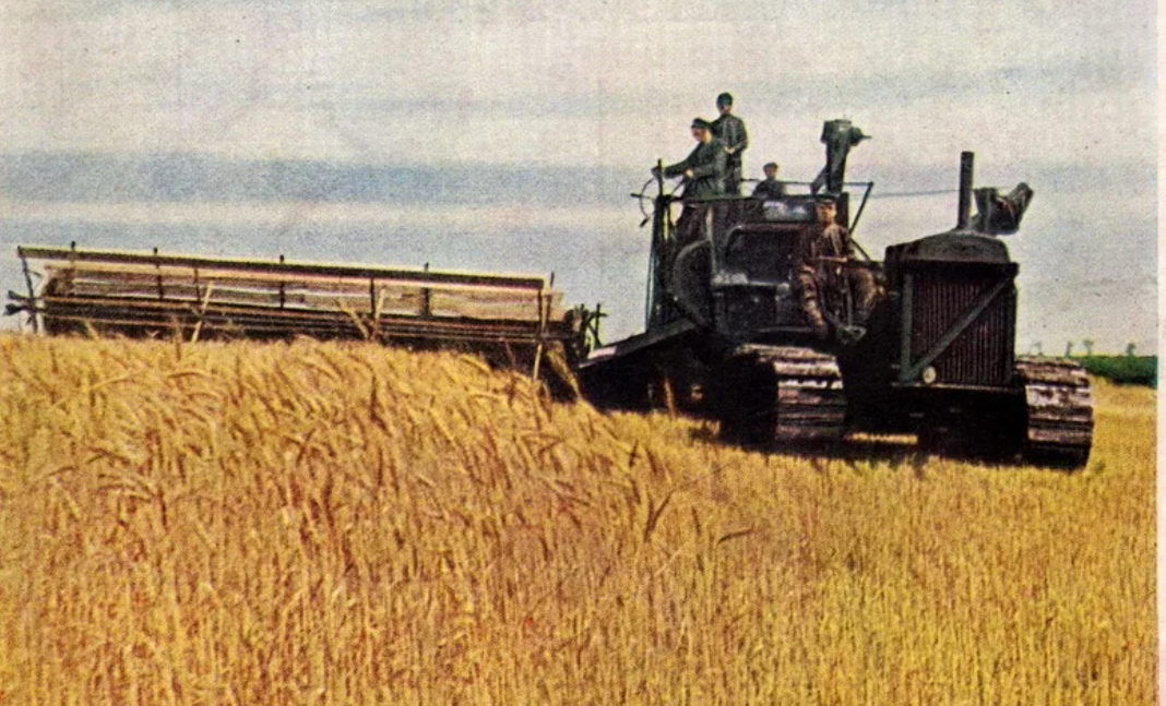 кубанский колхоз. колхоз дружба. кубанский колхоз. костюм председателя колхоза. сха колхоз кубань.