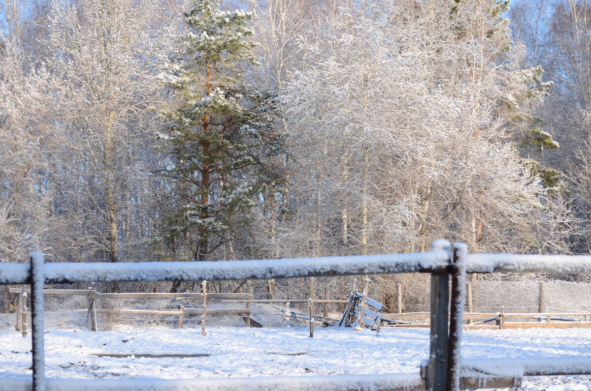 Красиво, но холодно.