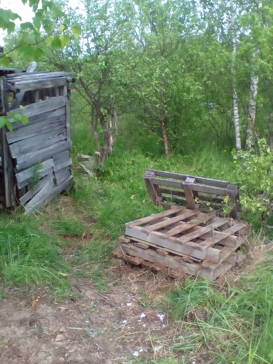 Да! Он был таким!