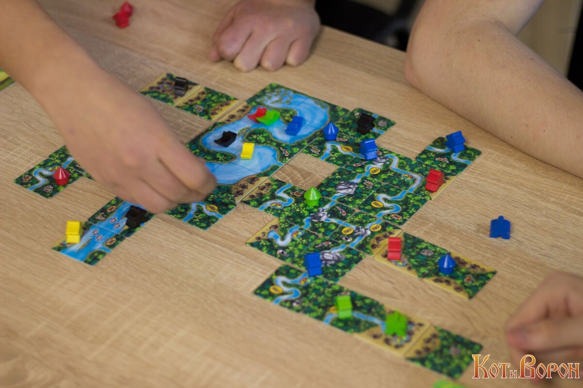 Разновидность Каркассона с рекой Амазонкой