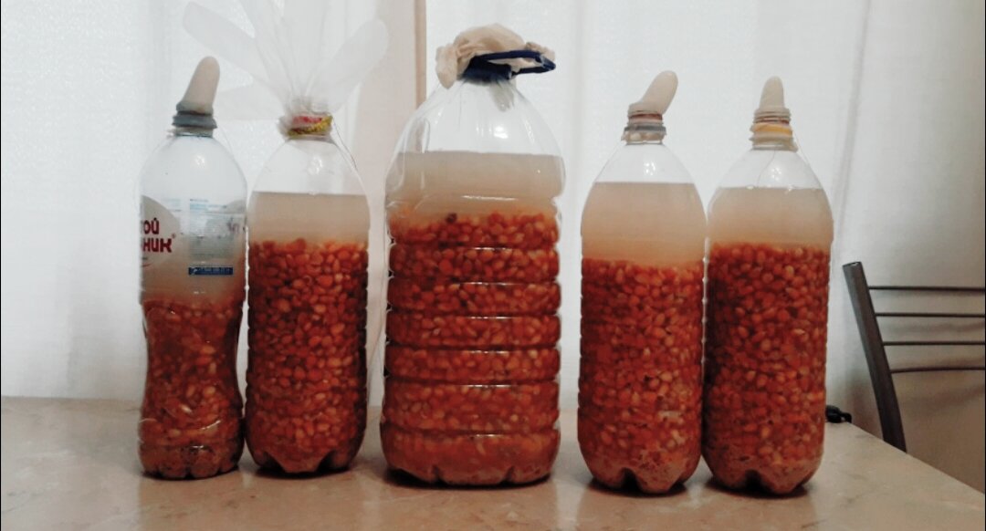 "Пьяная кука"- собственного производства.