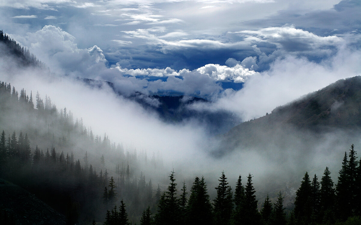 Изображение из Интернета