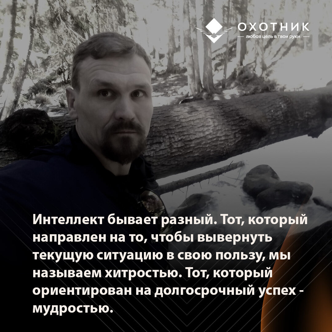 Политика и биология: почему власть достаётся агрессивным, а не умным |  Охотник за Мечтой | Дзен